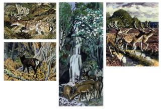 Charles Frederick Tunnicliffe, R.A. - Fallow deer; Sika stag; and Five further fallow deer studies
