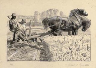 Charles Frederick Tunnicliffe, R.A. - Meadow grasses