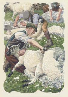 Charles Frederick Tunnicliffe, R.A. - Sheep Shearing