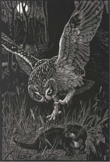 Charles Frederick Tunnicliffe, R.A. - The night predator