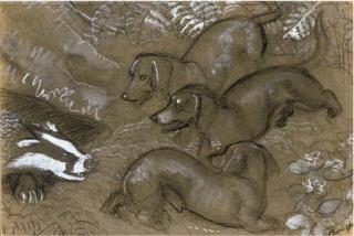 Charles Frederick Tunnicliffe - A Badger With Three Dachshunds, A Sketch