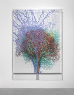 Charles Gaines - Numbers And Trees: Central Park Series Iv: Tree #6, Carmichael 