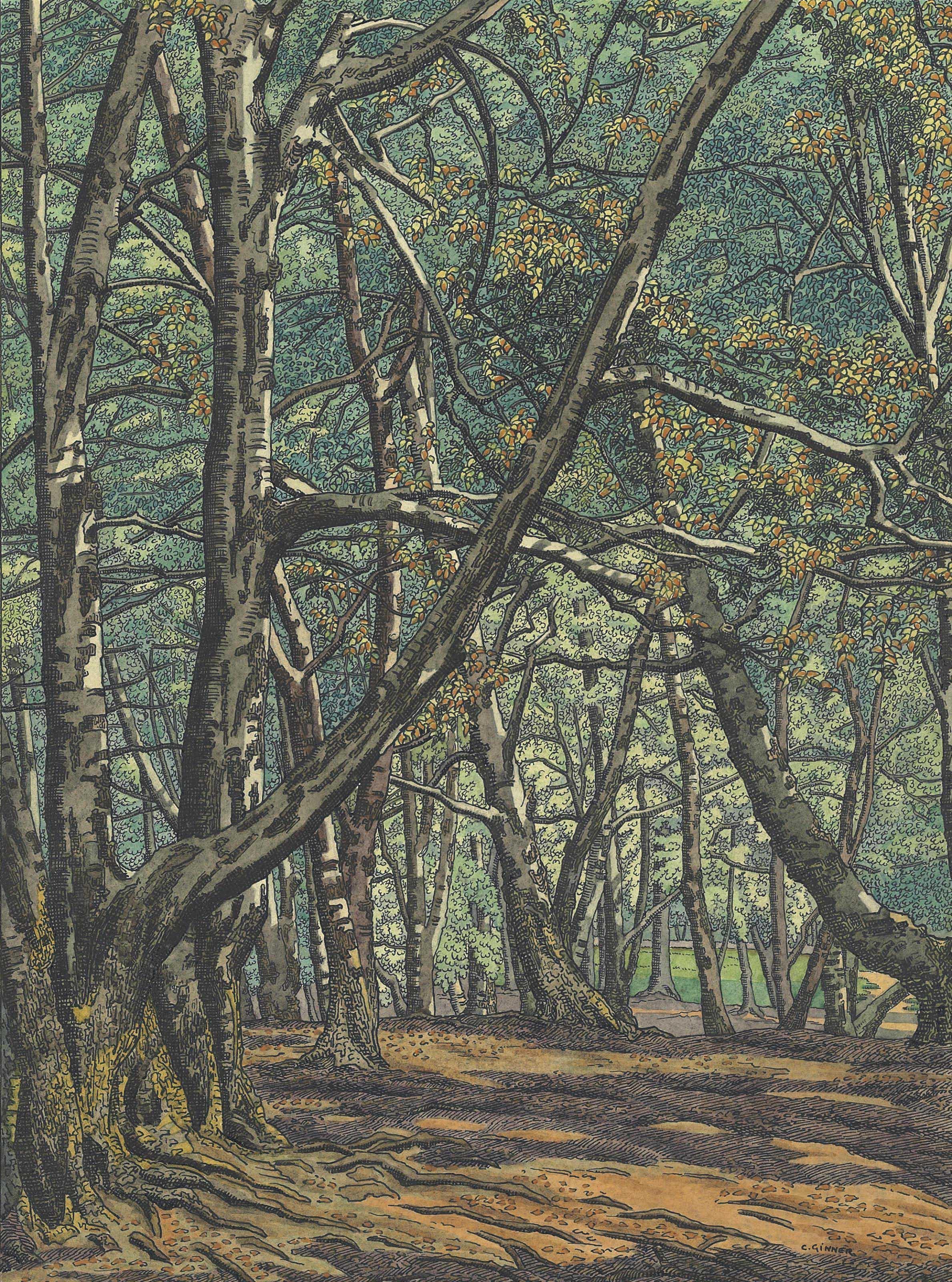 Charles Ginner, A.R.A. - Wildwood - Hampstead Heath