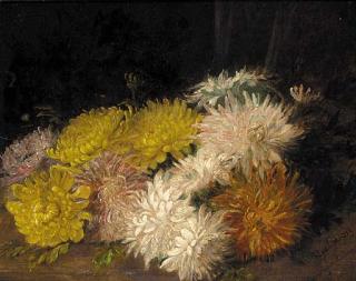 Charles Gregory - Chrysanthemums