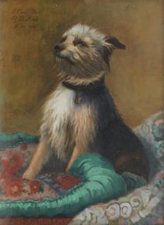 Charles H.D. Boland De Spa - A pampered Terrier on its silk cushion