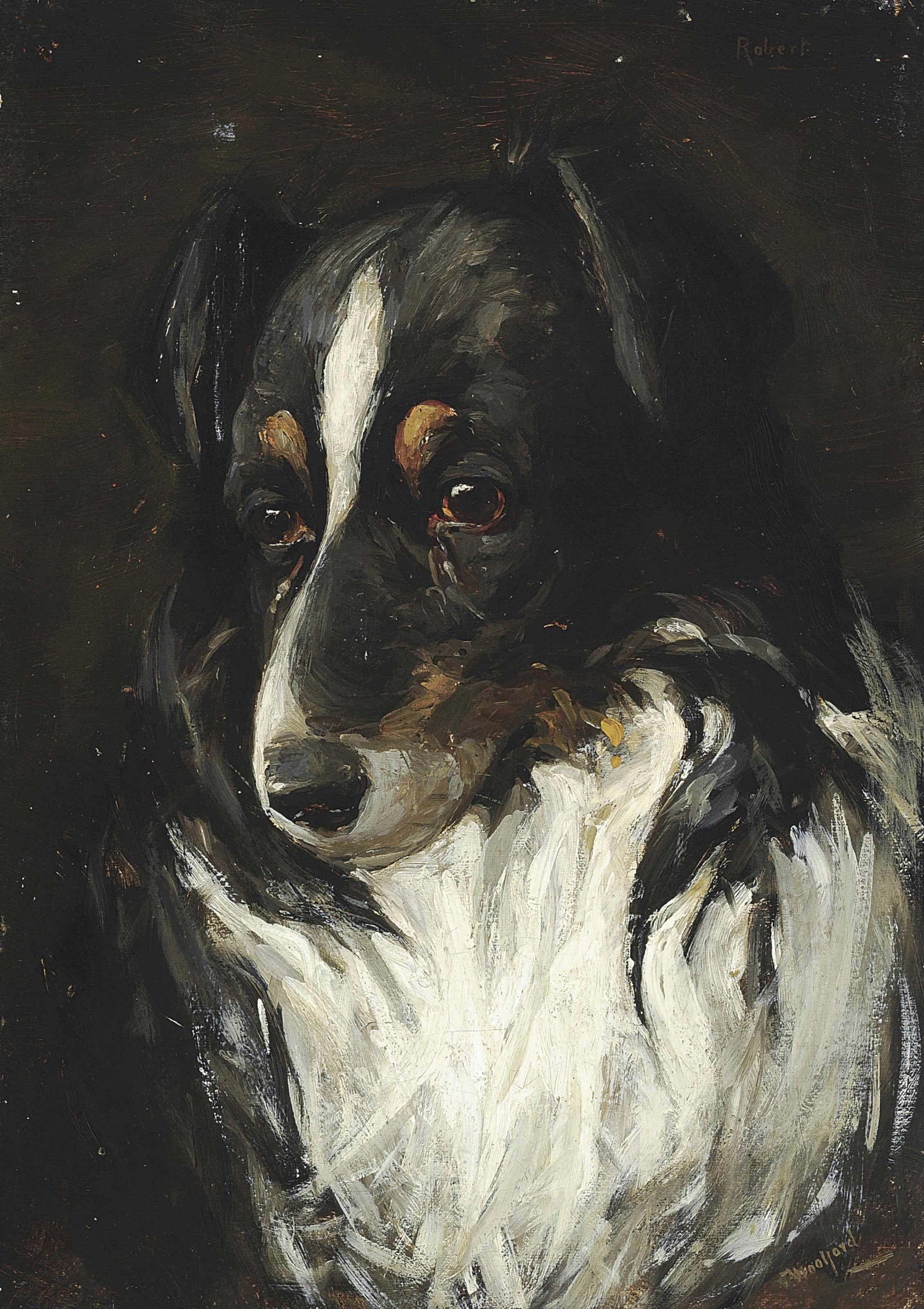 Charles Halkerston Woolford - Study of a collie