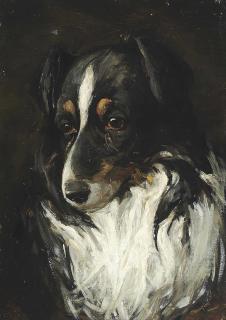Charles Halkerston Woolford - Study of a collie