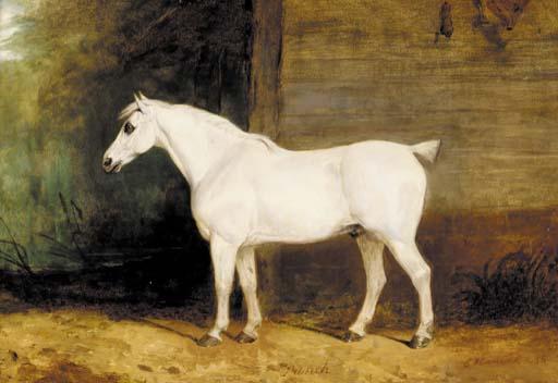 Charles Hancock - Punch, a grey horse by the side of a barn