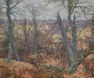 Charles Harold Davis - Edge of Grey Wood