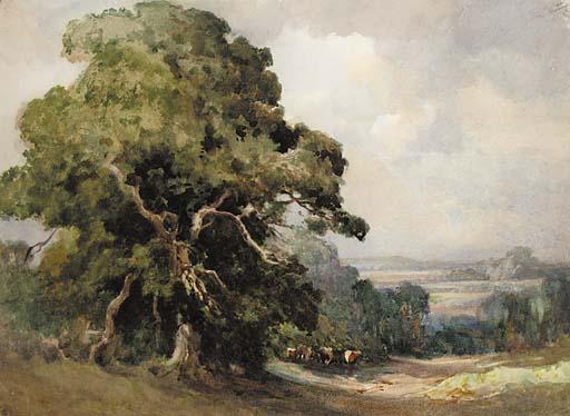 Charles Harrington - Cattle resting beneath trees