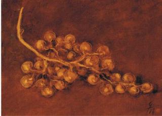 Charles-Henri Herrmann - Nature morte au raisin