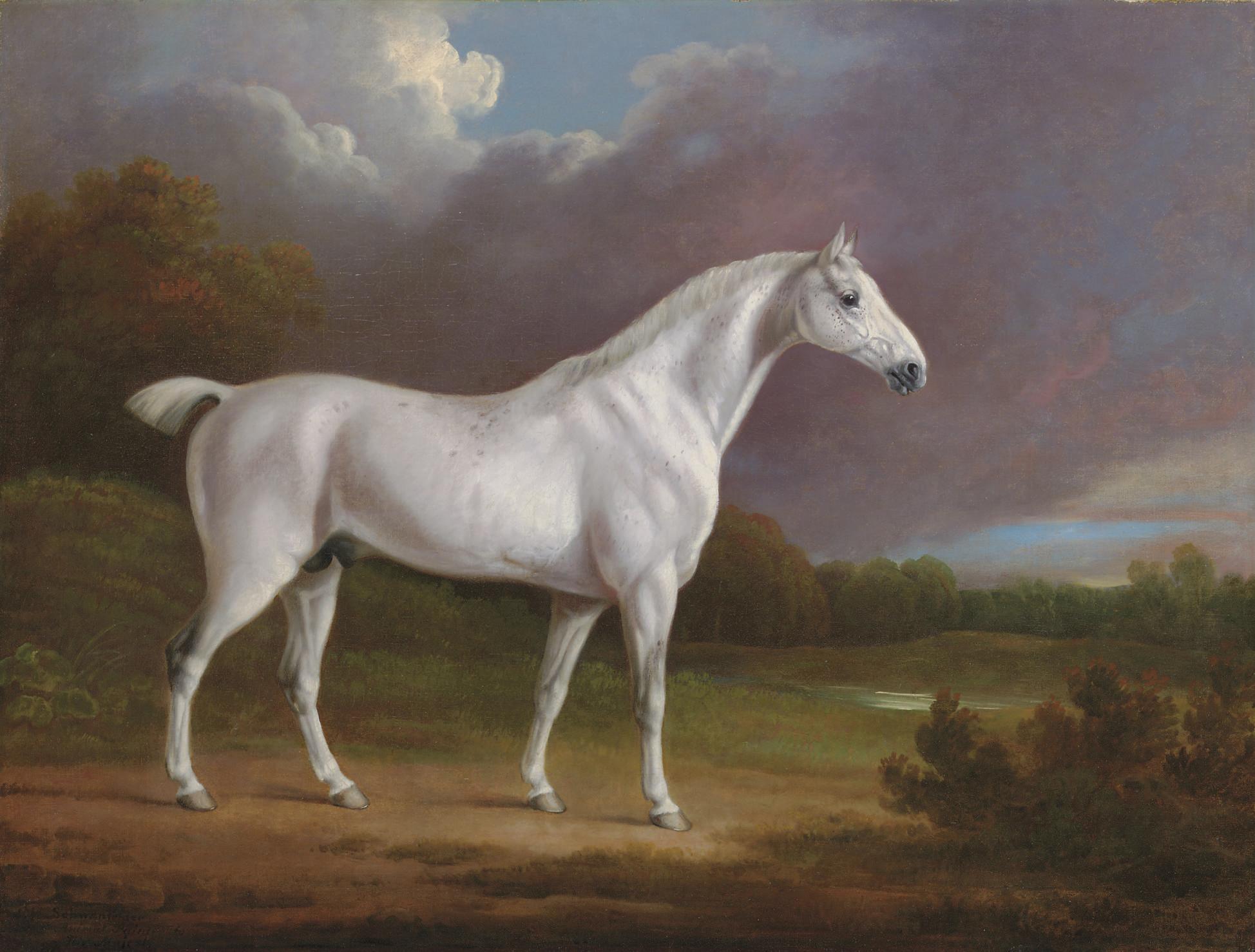 Charles Henry Schwanfelder - A grey hunter in a wooded landscape