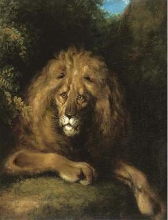 Charles Henry Schwanfelder - A Noble Lion