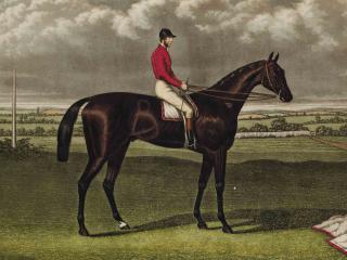 Charles Hunt - Cremone, winner of the Derby at Epsom ; Blue Gown, winner of the Derby at Epsom