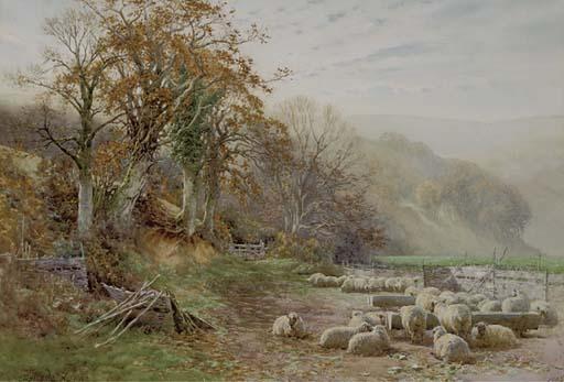 Charles James Adams - Sheep Resting In The Sunshine