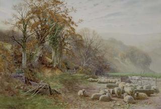 Charles James Adams - Sheep Resting In The Sunshine