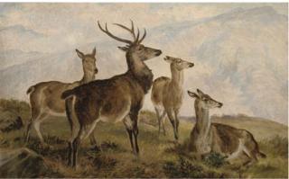 Charles Jones, A.R.S.A., R.C.A. - Deer In The Highlands