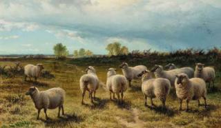 Charles Jones, R.C.A. - Sheep on a heath