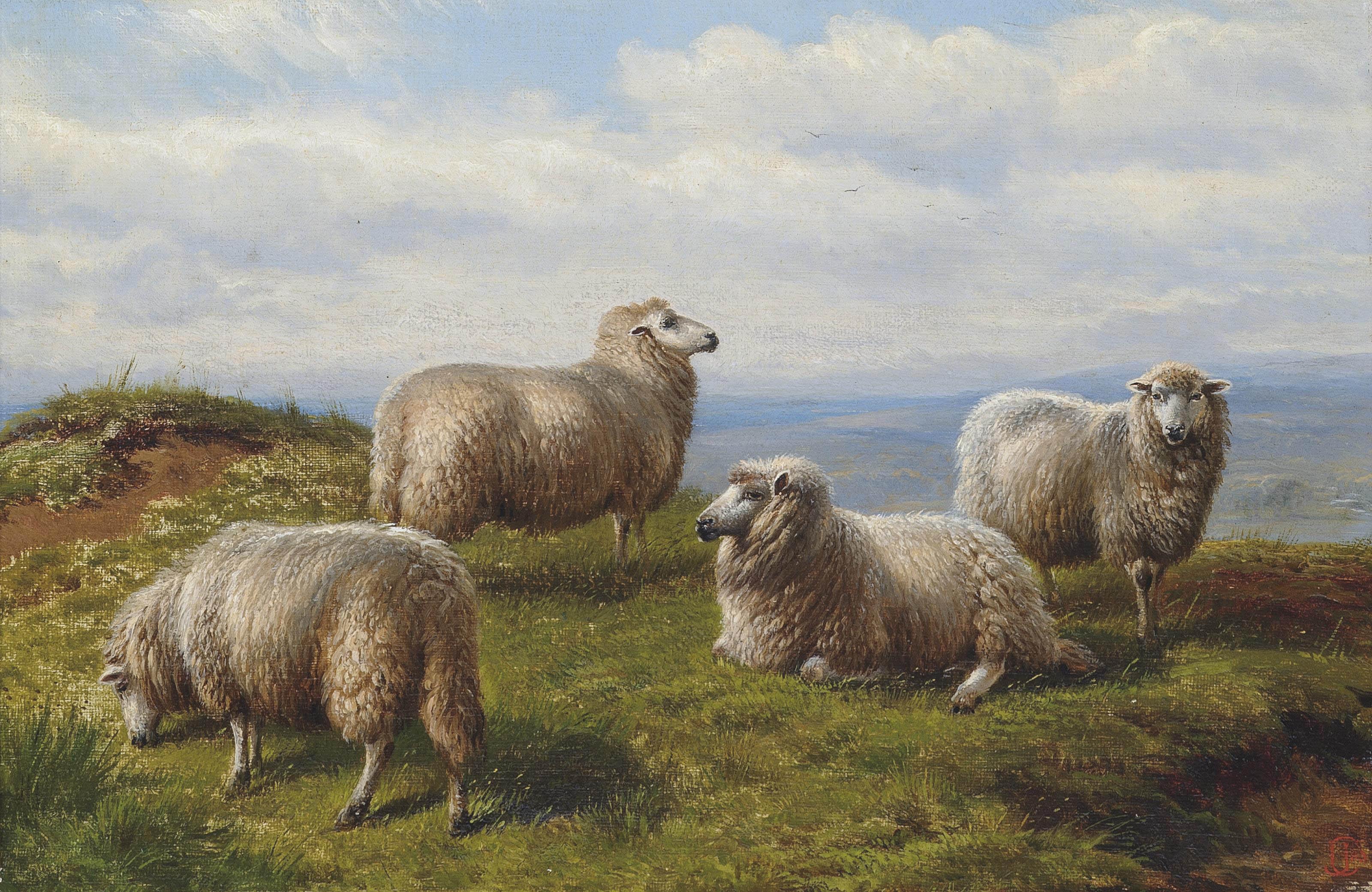Charles Jones, R.C.A. - Sheep on the hill