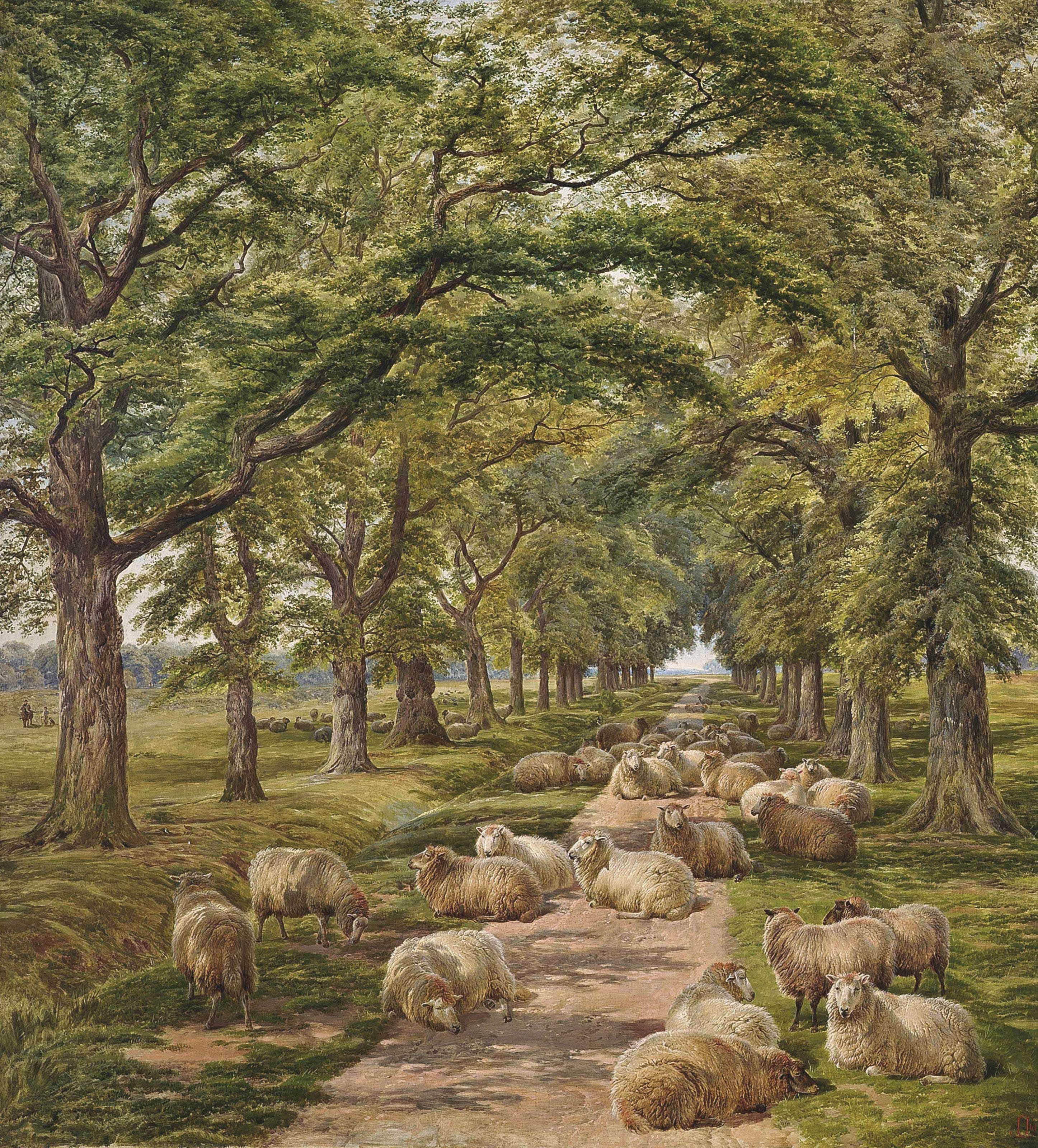 Charles Jones, R.C.A. - Sheep resting on a tree-lined path