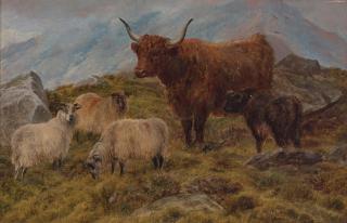 Charles Jones, RCA - British sheep and Highland cattle (a group of two)