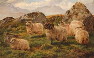 Charles Jones, RCA - Ram and ewes in the hills