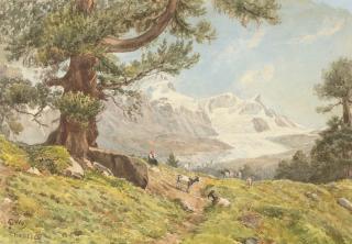 Charles Jones Way - The goat herd, Findelen, Austria