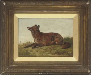 Charles Jones - A Fox In A Landscape