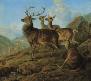 Charles Jones - A stag with hinds in a highland landscape