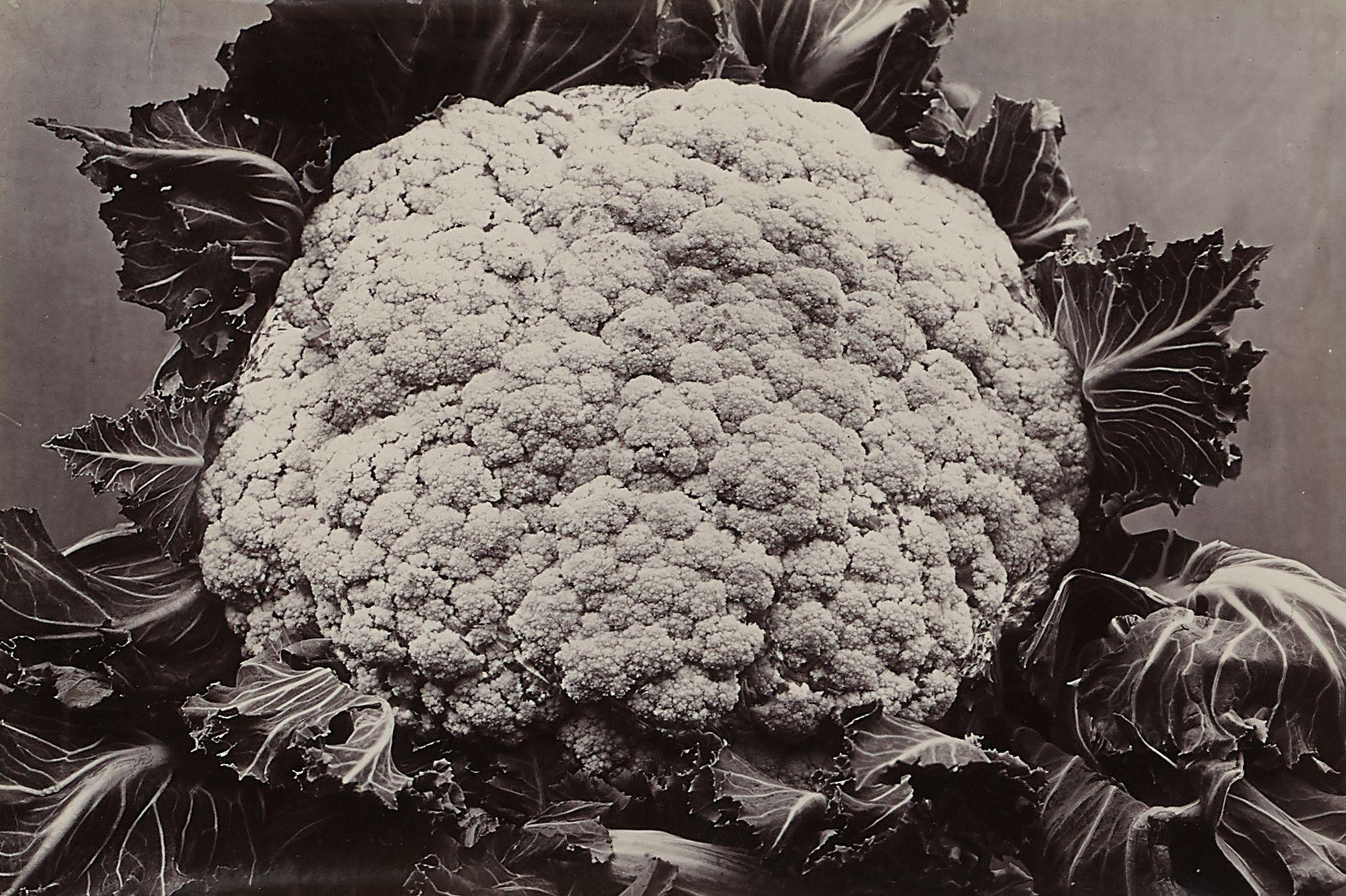 Charles Jones - Broccoli Sale Queen