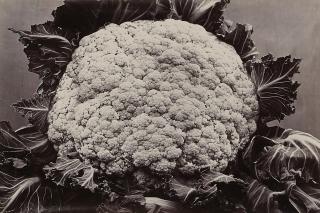 Charles Jones - Broccoli Sale Queen