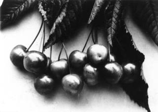 Charles Jones - Cherry Bigarreau