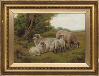 Charles Jones - Ewes and lambs grazing in the meadow