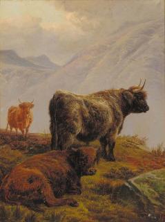 Charles Jones - Highland Cattle In A Mountainous Landscape
