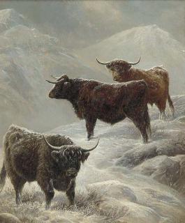 Charles Jones - Highland cattle in a mountainous winter landscape