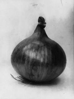 Charles Jones - Onion Ailsa Craig