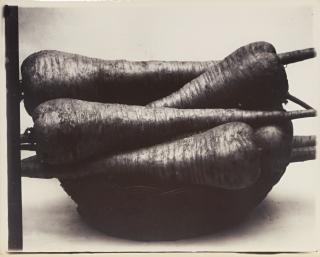 Charles Jones - \'Parsnip Student\'