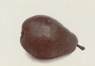 Charles Jones - Pear Emily Heyst, 1901-1902