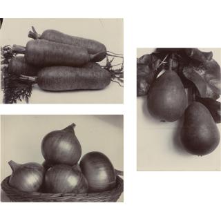 Charles Jones - Selected Images Of Vegetables And Fruit