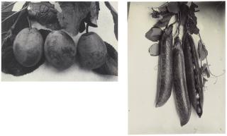 Charles Jones - Selected Images