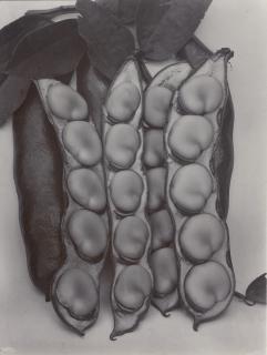 Charles Jones - Selected Studies