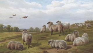Charles Jones - Sheep And Pheasant In A Landscape
