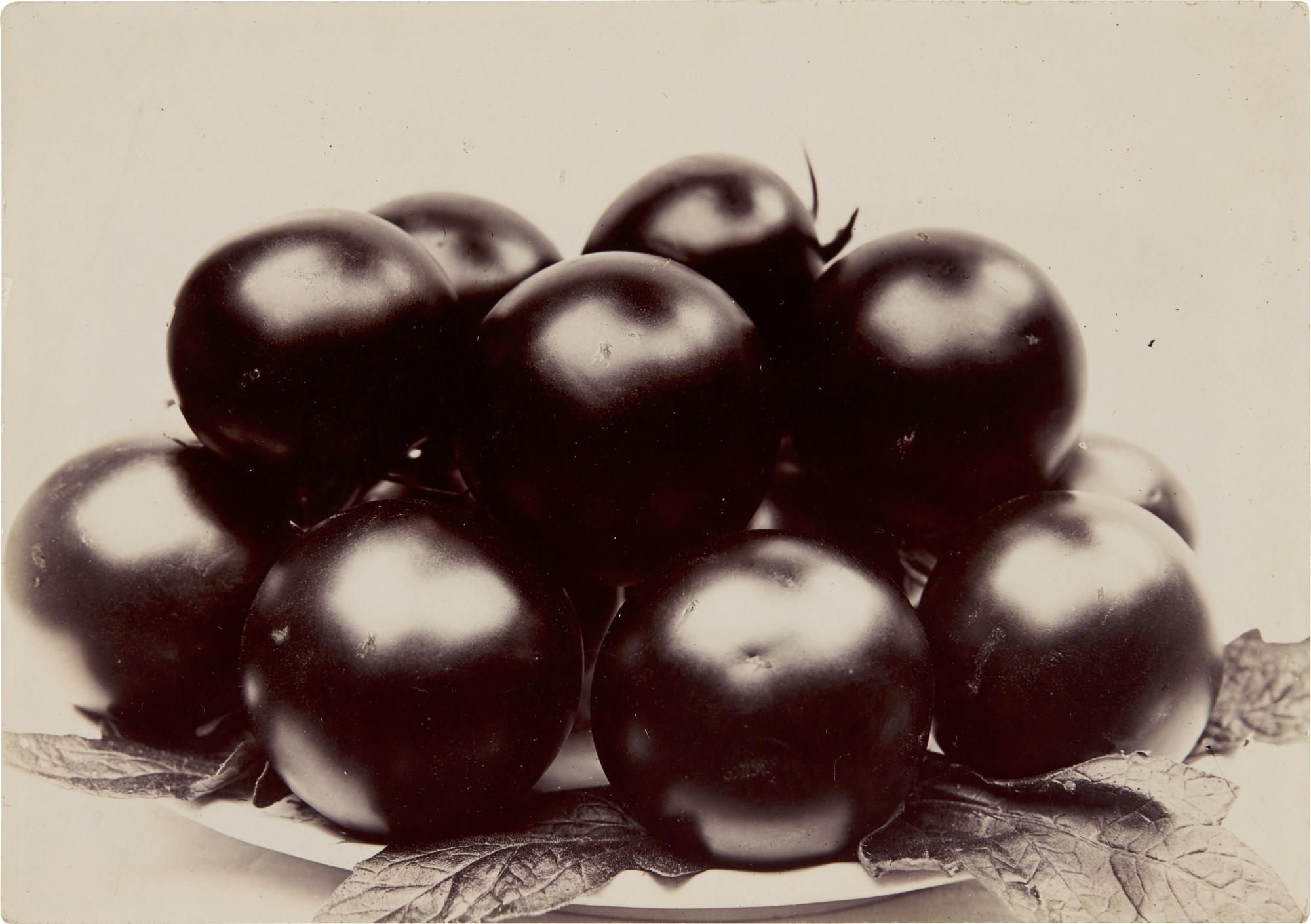 Charles Jones - \'Tomato Perfection\', 1900