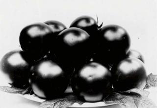 Charles Jones - Tomato Perfection