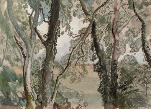 Charles Knight - View through the trees