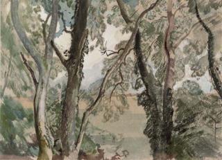 Charles Knight - View through the trees