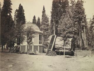 Charles Leander Weed - Selected Views In Big Tree Grove