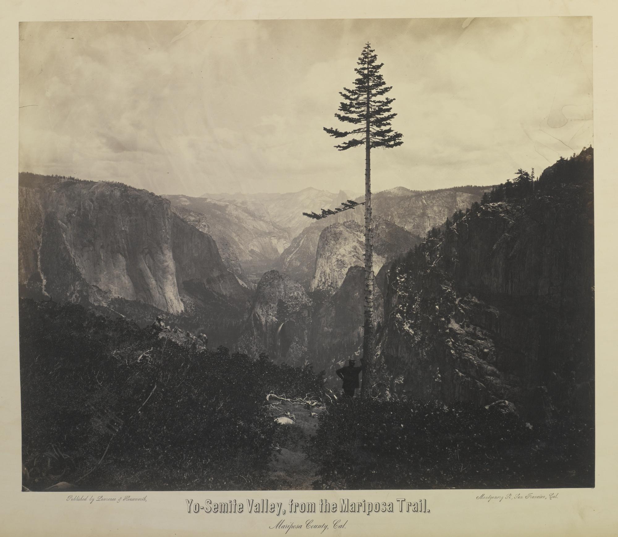 Charles Leander Weed - Yosemite Valley And Big Tree Views