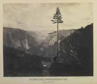 Charles Leander Weed - Yosemite Valley And Big Tree Views