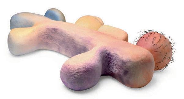 Charles Long - Untitled (Hairy)